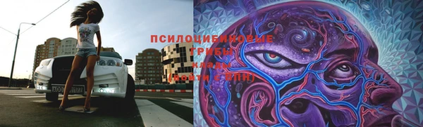 мет Долгопрудный