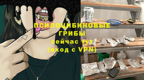 МДПВ Одинцово