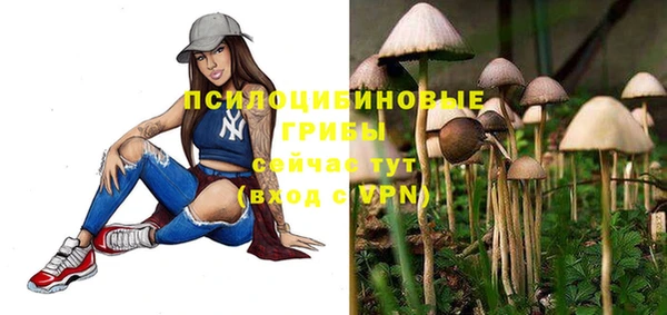 альфа пвп Бердск