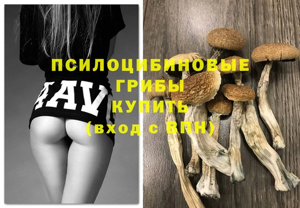 ECSTASY Новый Уренгой