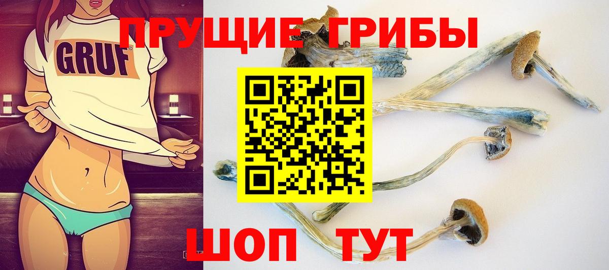 Галлюциногенные грибы GOLDEN TEACHER  Вход с VPN  Егорьевск 